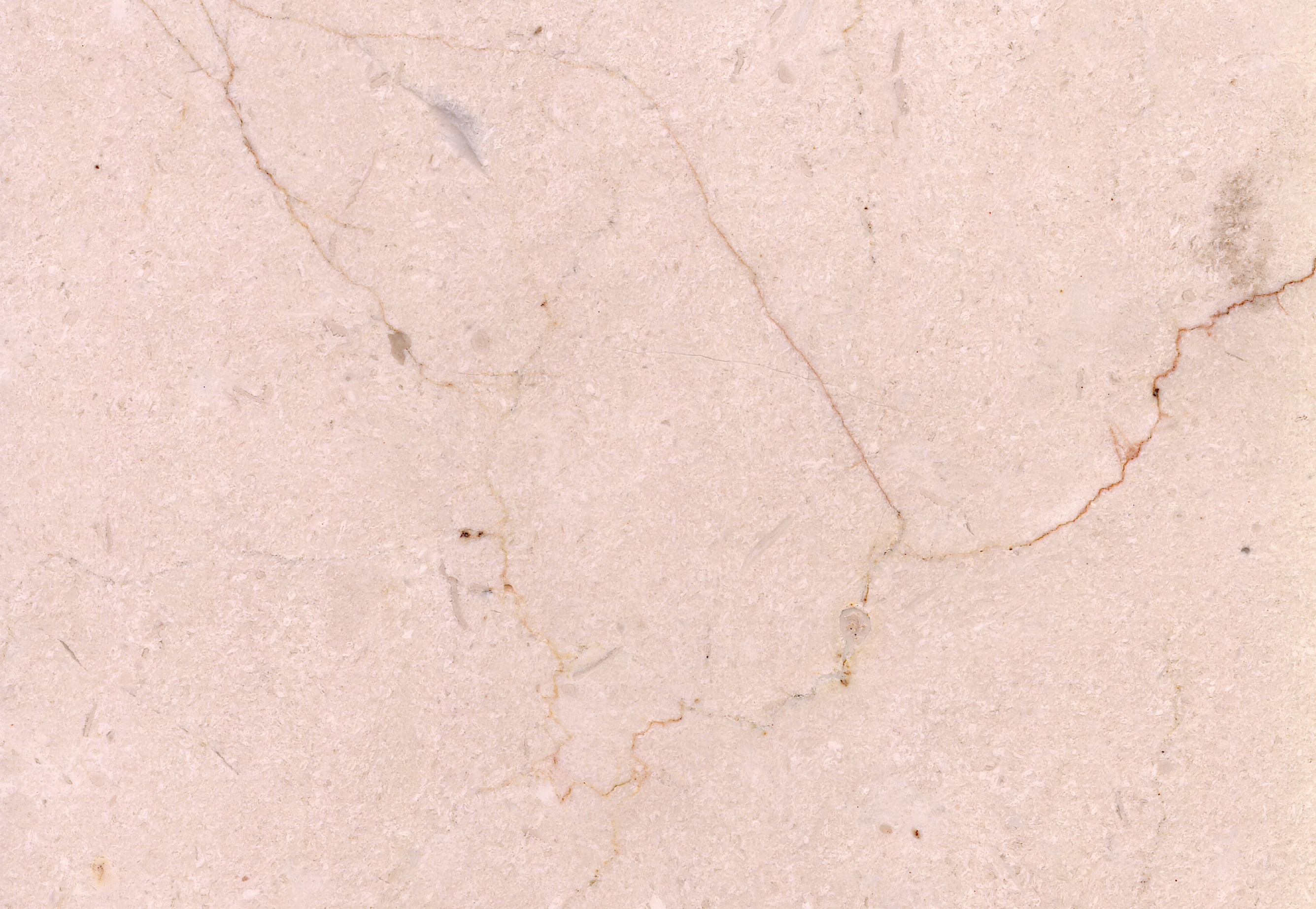 Crema marfil