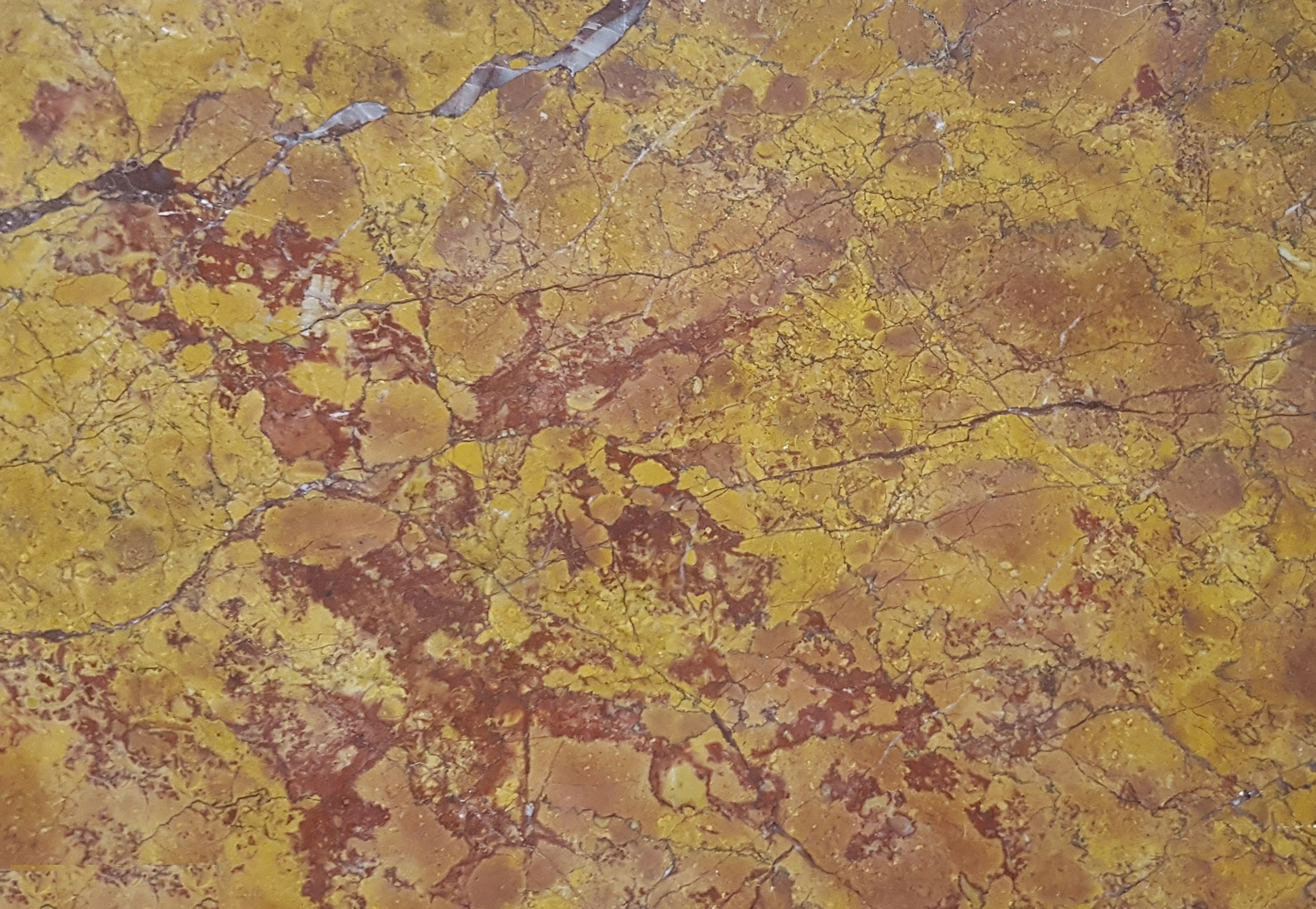 Tropical oro